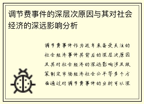 调节费事件的深层次原因与其对社会经济的深远影响分析