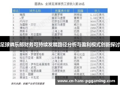 足球俱乐部财务可持续发展路径分析与盈利模式创新探讨